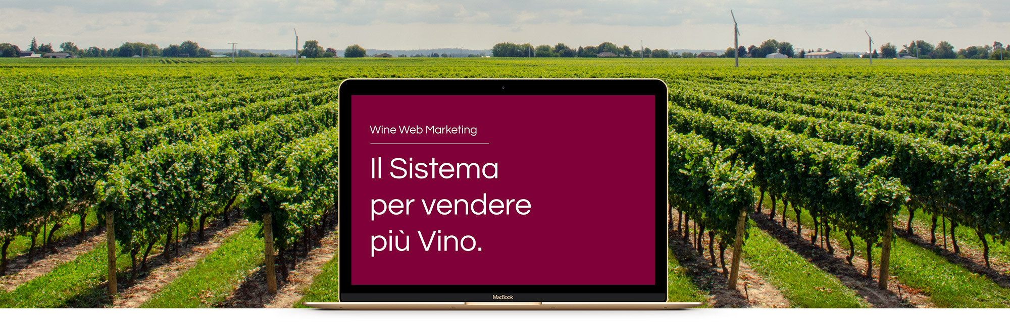 Come vendere più vino con il sistema WWM